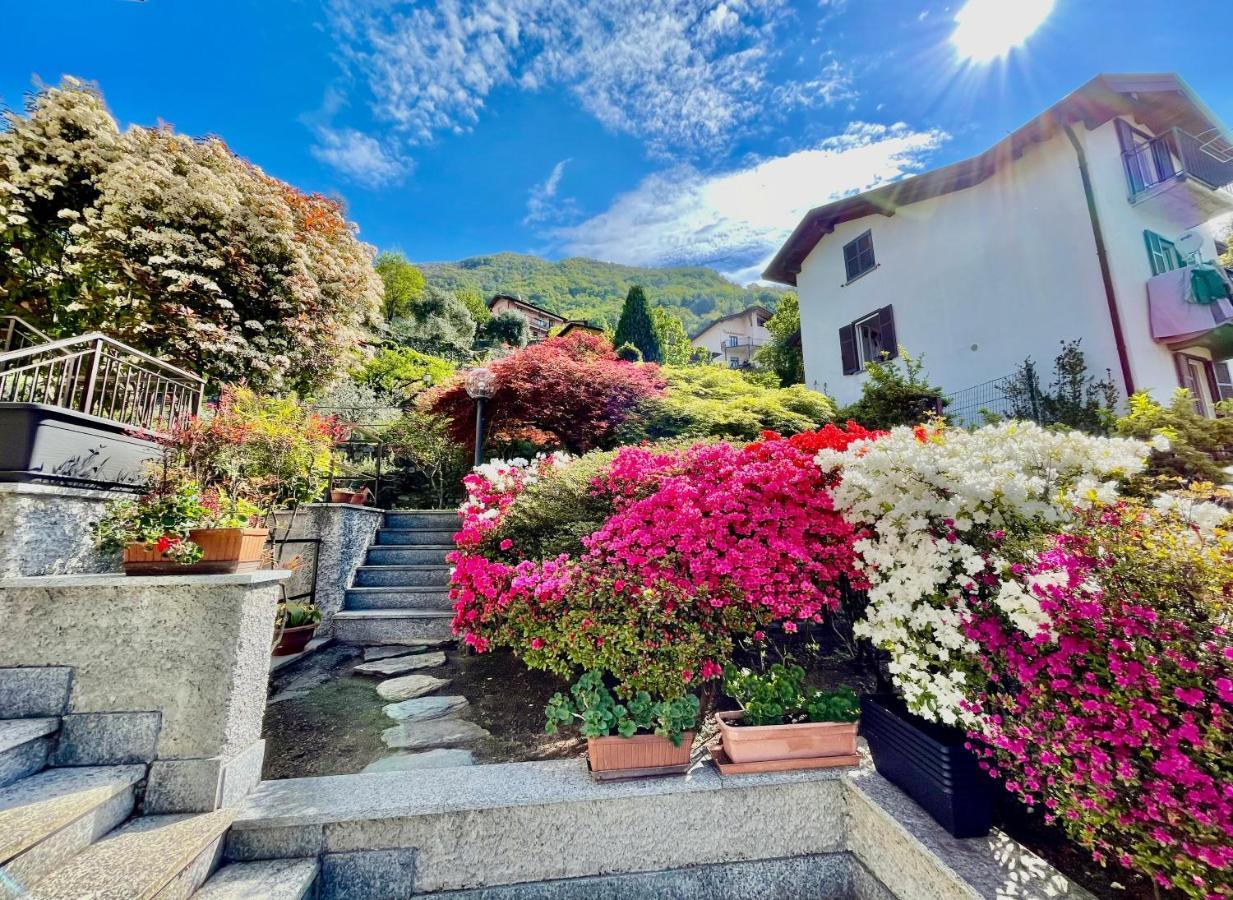 Eden Sul Lago Di Como Нессо Экстерьер фото