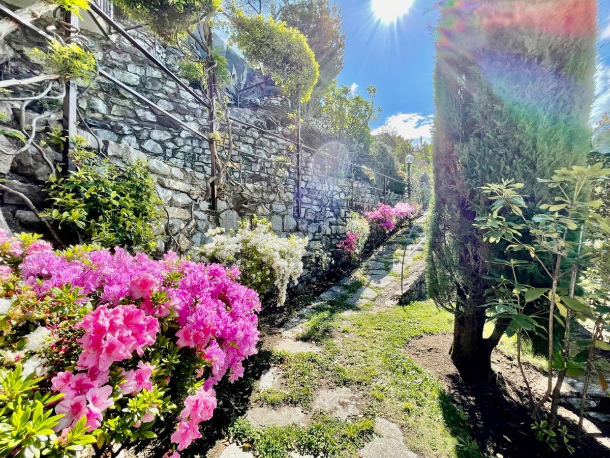 Eden Sul Lago Di Como Нессо Экстерьер фото