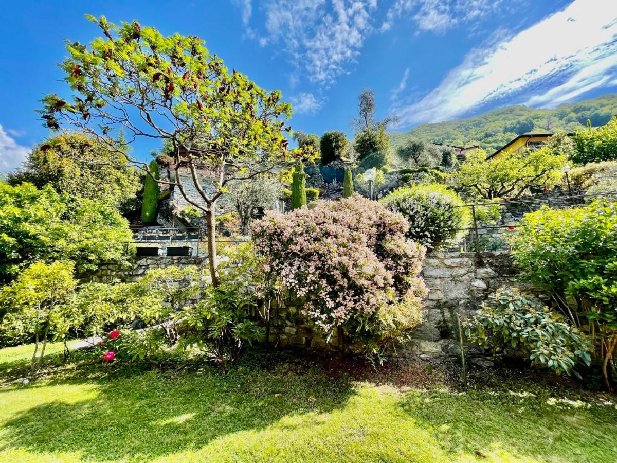 Eden Sul Lago Di Como Нессо Экстерьер фото